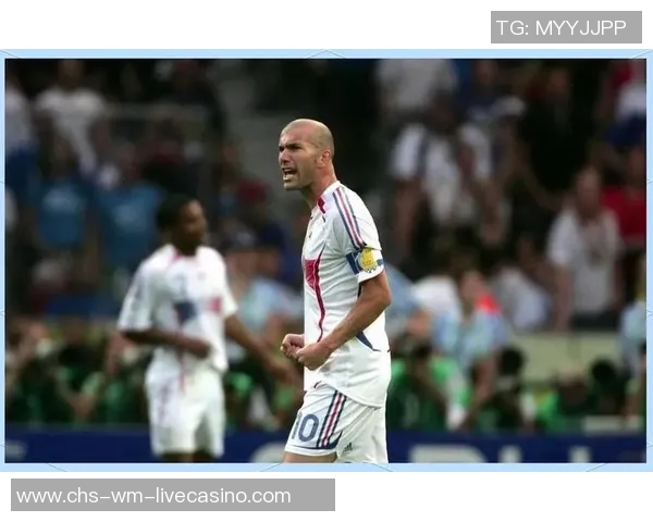 足球的传奇与梦想：探索天下足球纪录片的魅力与深度